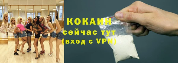 молекула духа Алексин