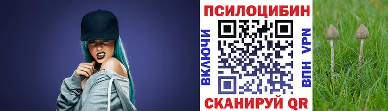 Псилоцибиновые грибы ЛСД наркошоп Лодейное Поле