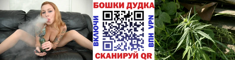 Бошки Шишки MAZAR  Лодейное Поле 